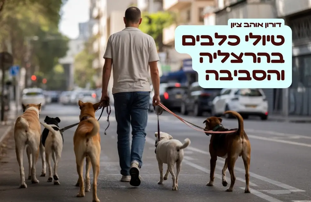טיולי כלבים בהרצליה והסביבה