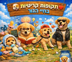 תקופת התפתחות אצל גור כלב